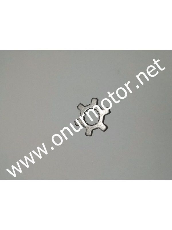 BWS 100 PUL PERVANE