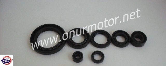 MONDİAL MCT 250 KEÇE SETİ