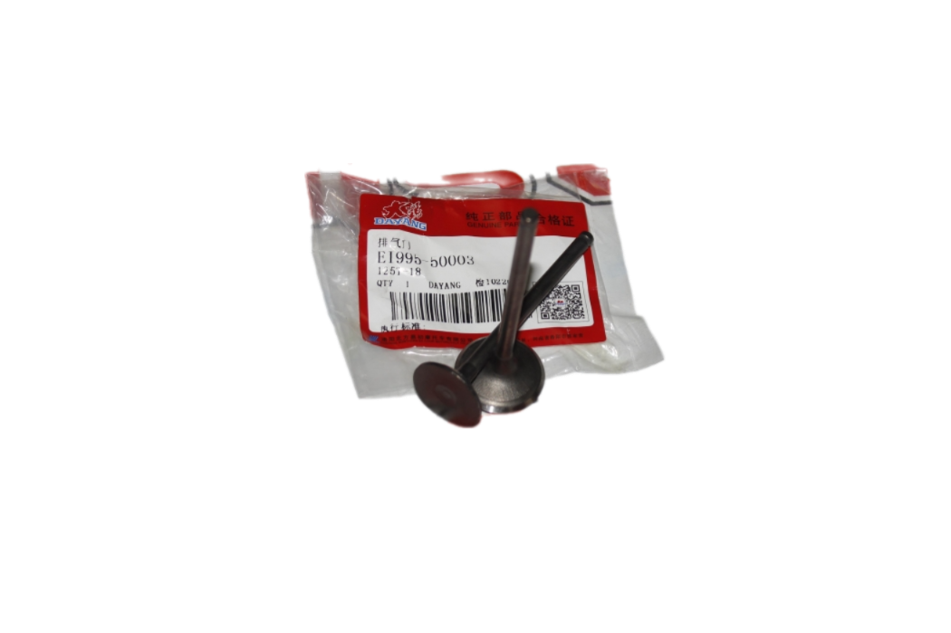 SALCANO ASTRO 125-CARGO SUBAP TK ORJİNAL