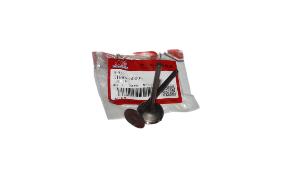 SALCANO ASTRO 125-CARGO SUBAP TK ORJİNAL